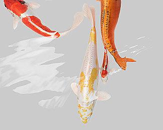 使命召唤18连接失败 无法连接是什么原因 解决办法介绍